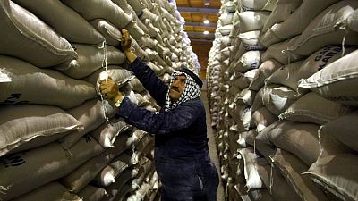 مصادر: الأردن يشتري 60 ألف طن من علف الشعير في مناقصة