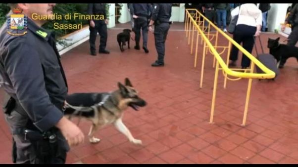 Cani antidroga a scuola,arresto genitori Cani antidroga a scuola,arresto genitori