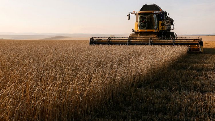 روسيا تتوقع تصدير 42 مليون طن من الحبوب في الموسم الحالي
