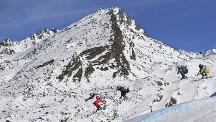 Les Bleus du blanc: les Midol en forme en skicross
