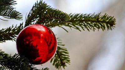 Salvini a testa in giù su albero Natale Salvini a testa in giù su albero Natale