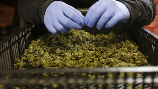 Israeli lawmakers approve medical cannabis exports law Israeli lawmakers approve medical cannabis exports law