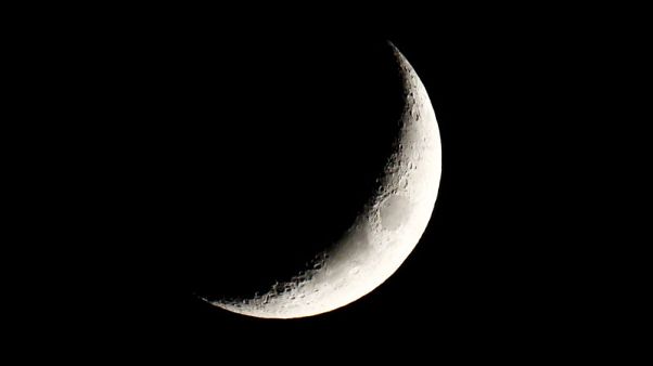 China probe readies to land on dark side of the moon - Xinhua China probe readies to land on dark side of the moon - Xinhua