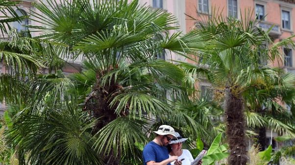 Bruciano palma davanti chiesa,denunciati Bruciano palma davanti chiesa,denunciati