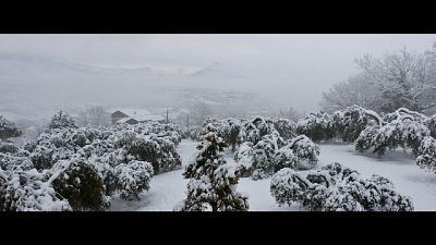 Nel Beneventano nevica a bassa quota Nel Beneventano nevica a bassa quota