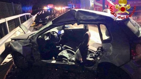 Cinghiali su A1, pm Lodi apre inchiesta Cinghiali su A1, pm Lodi apre inchiesta