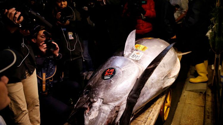 بيع سمكة تونة بأكثر من 3 ملايين دولار في مزاد بطوكيو