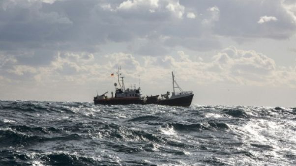Migrants au large de Malte: le pape appelle les dirigeants de l'UE à la "solidarité" Migrants au large de Malte: le pape appelle les dirigeants de l'UE à la "solidarité"