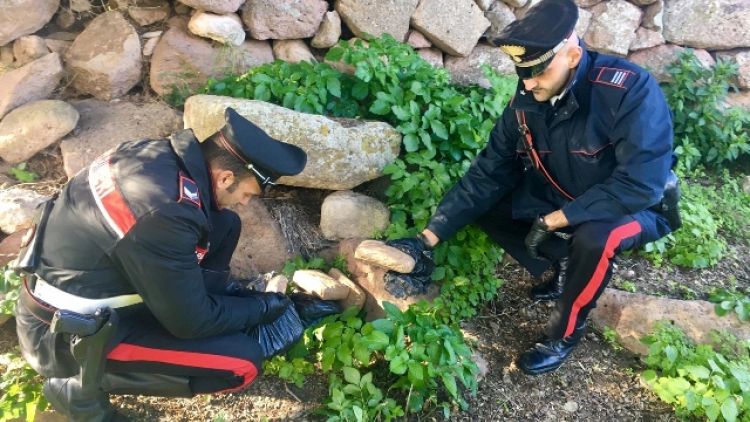 11 kg di eroina sequestrati ad Alghero
