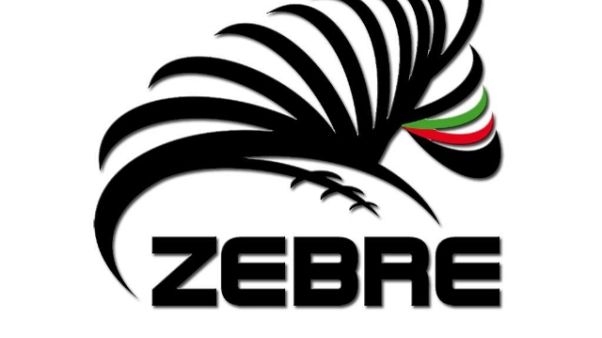 ugby: Pro 14, Zebre-Cheetahs 12-27 ugby: Pro 14, Zebre-Cheetahs 12-27
