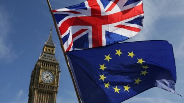 Brexit: des députés britanniques inquiets pour leur sécurité Brexit: des députés britanniques inquiets pour leur sécurité