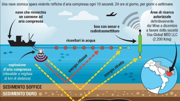 Grillo, trivelle costose e pericolose Grillo, trivelle costose e pericolose