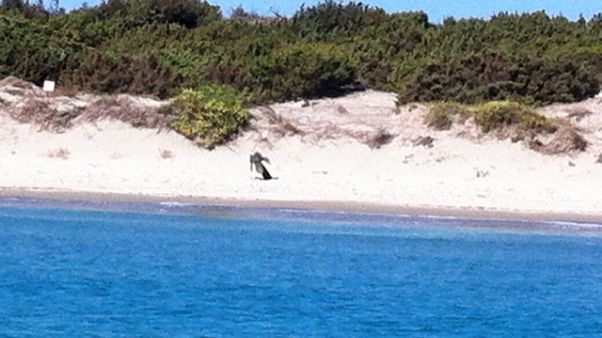Spiaggia Capo Teulada aperta a tutti Spiaggia Capo Teulada aperta a tutti