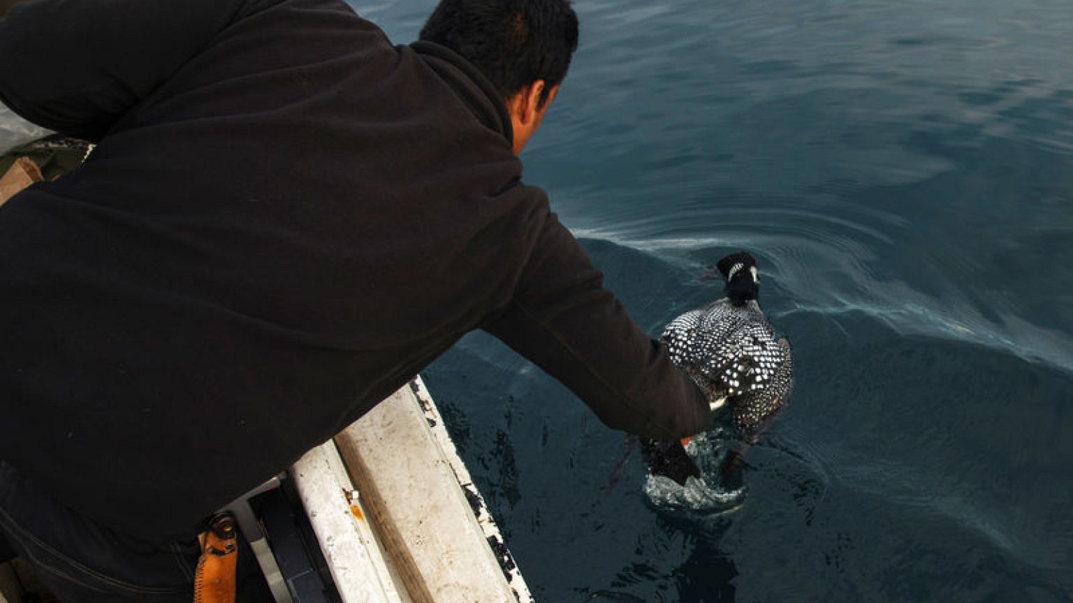 Greenland's residents grapple with global warming