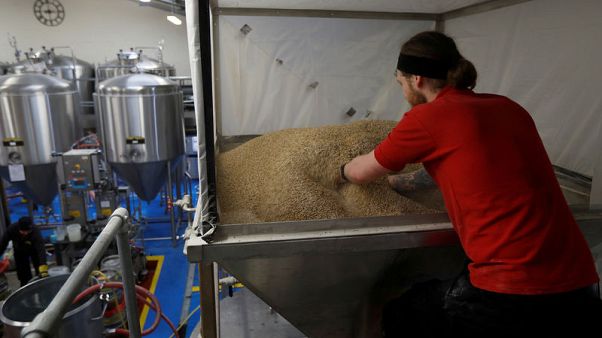 Hangover for UK farmers as Brexit uncertainty hits brewing barley sales to EU Hangover for UK farmers as Brexit uncertainty hits brewing barley sales to EU