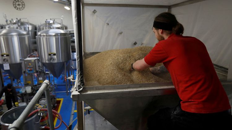 Hangover for UK farmers as Brexit uncertainty hits brewing barley sales to EU