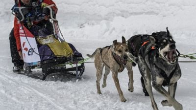 Courses de chiens de traîneaux: la "Grande Odyssée" s'ouvre dans un format remanié Courses de chiens de traîneaux: la "Grande Odyssée" s'ouvre dans un format remanié