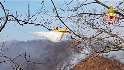 Domato nuovo incendio nel Varesotto Domato nuovo incendio nel Varesotto
