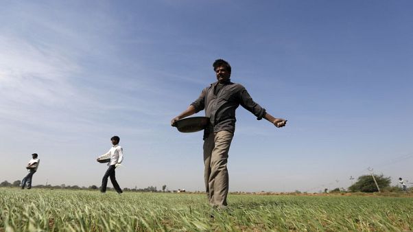 Exclusive: India likely to overshoot fertiliser aid bill by 300 billion rupees, banks may chip in - sources Exclusive: India likely to overshoot fertiliser aid bill by 300 billion rupees, banks may chip in - sources