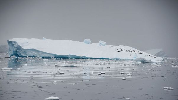 Antarctica's melt quickens, risks metres of sea level rise-study Antarctica's melt quickens, risks metres of sea level rise-study