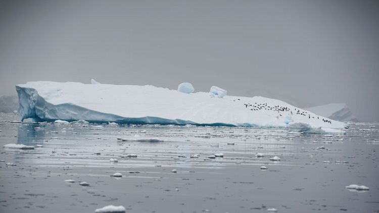 Antarctica's melt quickens, risks metres of sea level rise-study