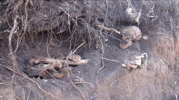 Scheletro su scogliera, aperta indagine Scheletro su scogliera, aperta indagine