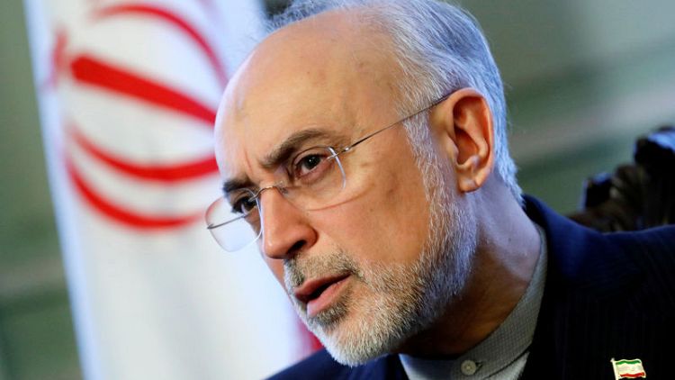 Iran could enrich uranium to 20 percent within 4 days -atomic chief