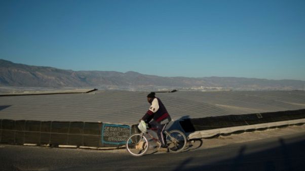 En Andalousie, des sans-papiers indispensables et indésirables En Andalousie, des sans-papiers indispensables et indésirables