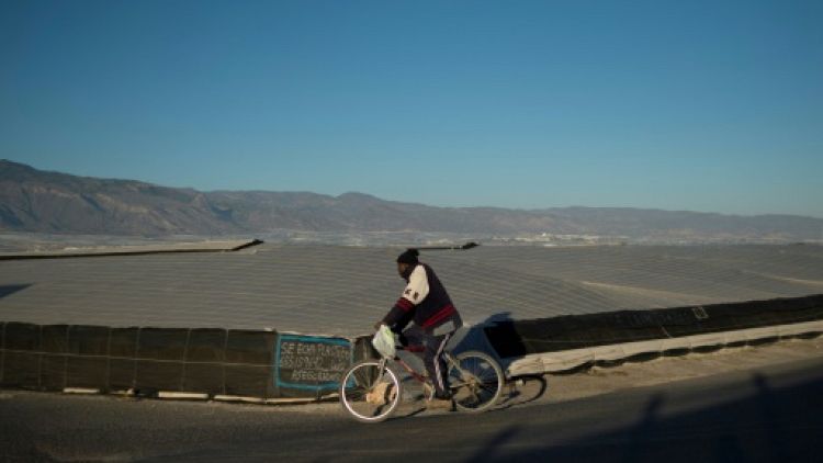 En Andalousie, des sans-papiers indispensables et indésirables