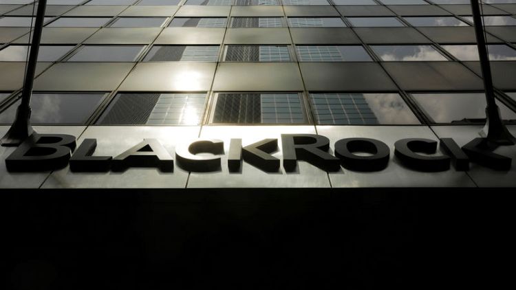 BlackRock profit misses as investors opt out of expensive funds
