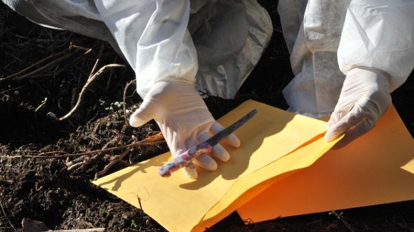 Anziana uccisa, ergastolo all'ex vicino Anziana uccisa, ergastolo all'ex vicino