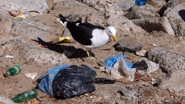 Plastics, consumer goods makers in $1.5 billion pledge to rein in waste Plastics, consumer goods makers in $1.5 billion pledge to rein in waste