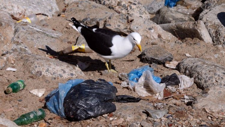 Plastics, consumer goods makers in $1.5 billion pledge to rein in waste