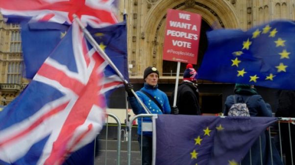 Les "Brits" d'Espagne gardent l'espoir que le Brexit n'ait pas lieu Les "Brits" d'Espagne gardent l'espoir que le Brexit n'ait pas lieu