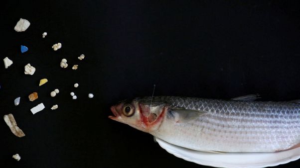 EU Chemicals Agency proposes ban on deliberately added microplastics to combat pollution EU Chemicals Agency proposes ban on deliberately added microplastics to combat pollution