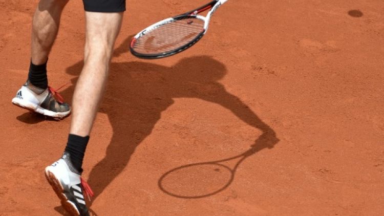Tennis (surface battue)
