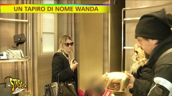 'Tapiro' a Wanda Nara, "Icardi? rinnova" 'Tapiro' a Wanda Nara, "Icardi? rinnova"