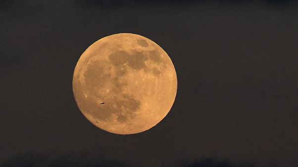 Bitter cold cancels some U.S. lunar eclipse festivities Bitter cold cancels some U.S. lunar eclipse festivities