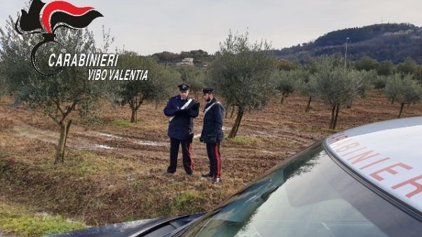 Intimidazione imprenditore,taglio alberi Intimidazione imprenditore,taglio alberi