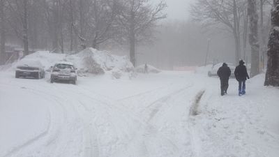 Auto bloccate dalla neve in Maremma Auto bloccate dalla neve in Maremma