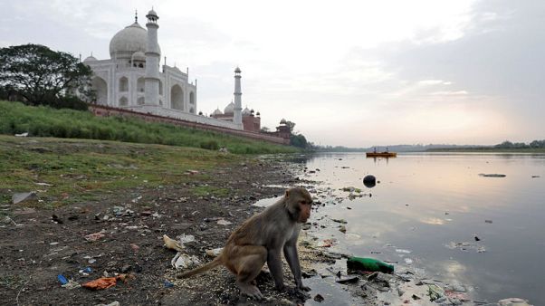 Taj Mahal police take aim at marauding monkeys with slingshots Taj Mahal police take aim at marauding monkeys with slingshots