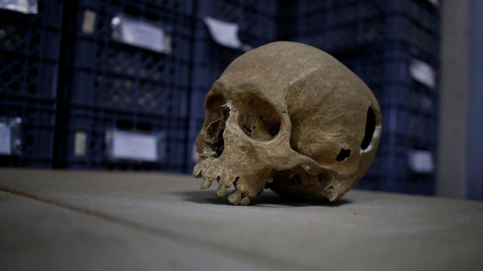 Roman remains unearthed near famous Lisbon restaurant