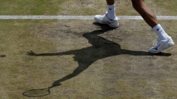 Tennis: les "court-siders", ces indésirables des gradins