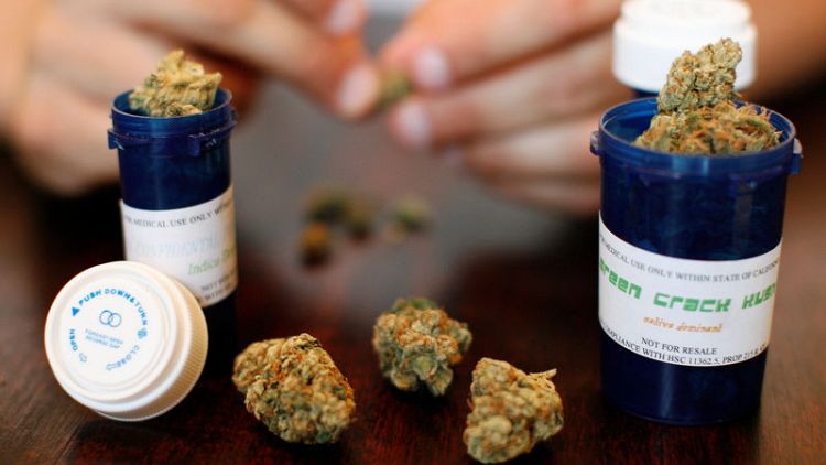 Germany seeks medical marijuana producers for home grown supply