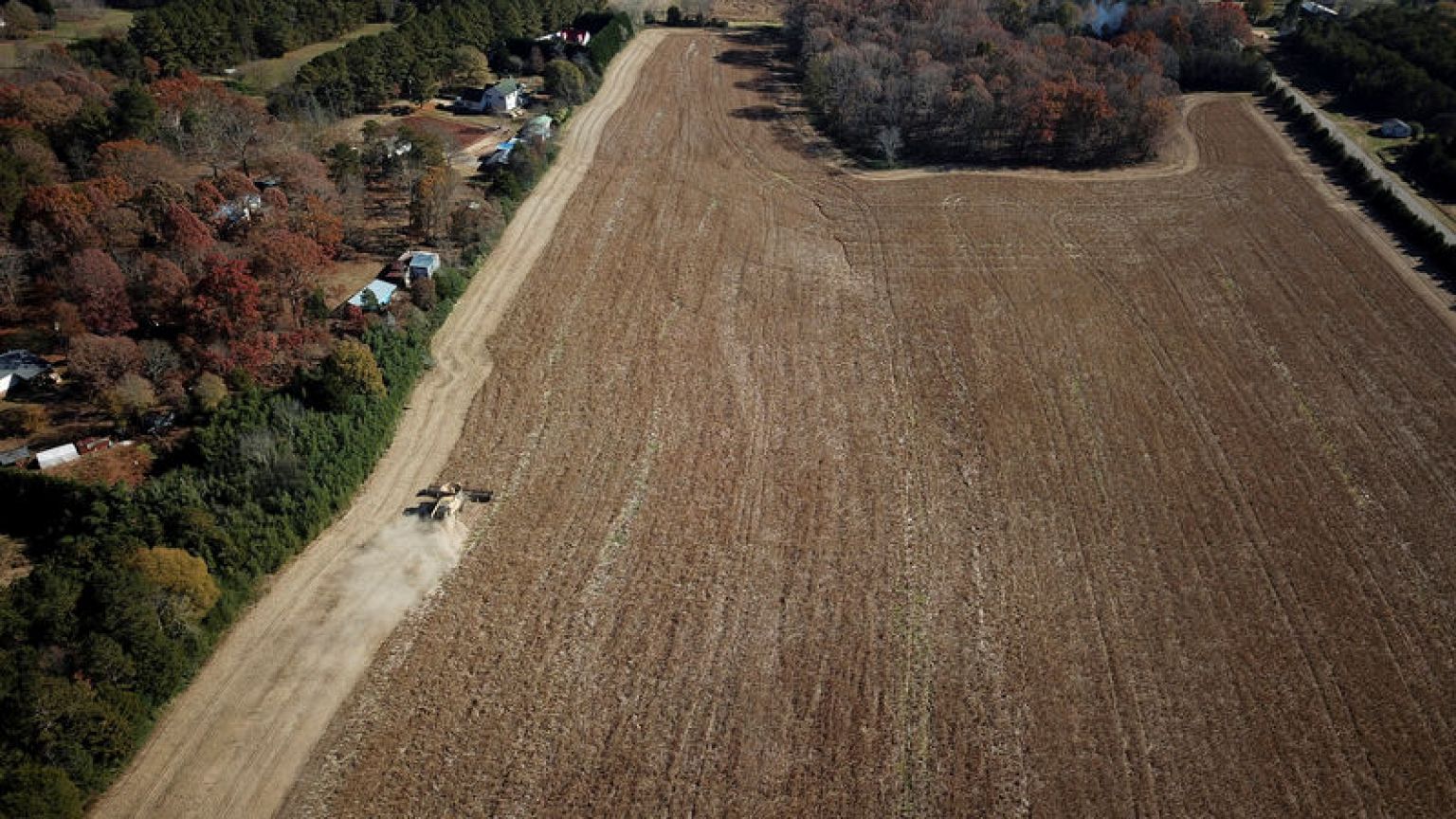 EU calms U.S. trade ties by accepting U.S. soybeans in biofuel