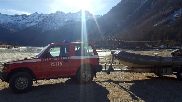 Vigili fuoco salvano camoscio ferito Vigili fuoco salvano camoscio ferito