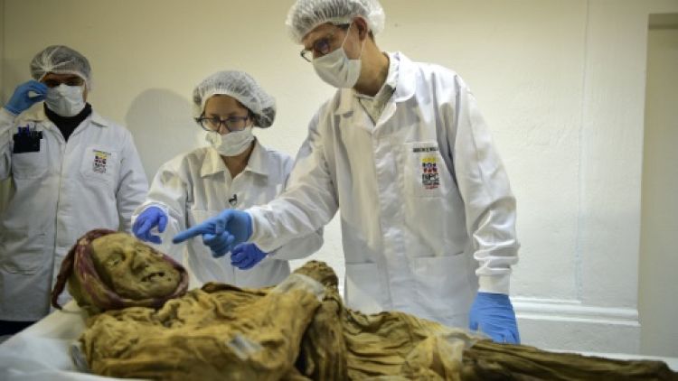 Une momie d'Equateur, clé pour savoir comment une grave maladie a atteint l'Europe