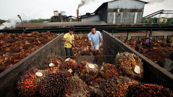 Indonesia to challenge 'discriminative' EU directive on palm oil Indonesia to challenge 'discriminative' EU directive on palm oil