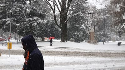 Neve: allerta gialla in Trentino Neve: allerta gialla in Trentino