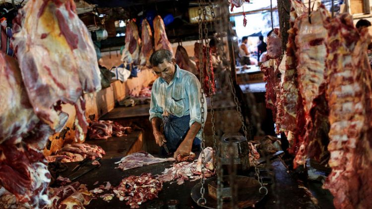 India's buffalo meat exports to plunge amid China clampdown on illegal imports